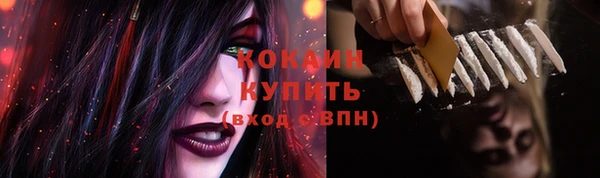 спиды Алзамай