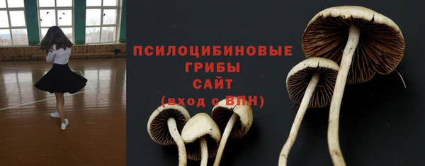 спиды Алзамай
