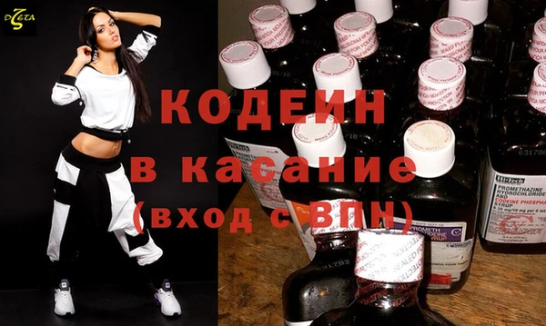 ешки Вяземский